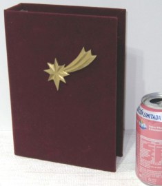 CRISTO MEDINACELI EN LIBRO URNA